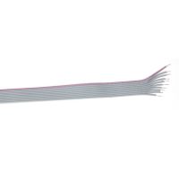 NAPPE GRISE 10 FILES