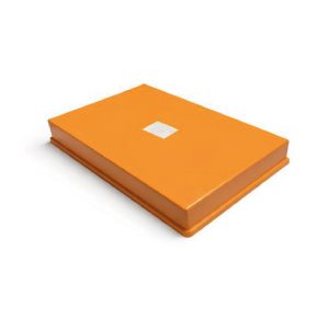 17001-141 BOITIER DE MONTAGE EXTRA PLAT ORANGE 199X120X25 +VIS