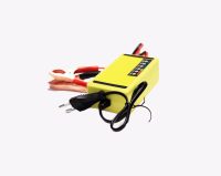 CHARGEUR INTELLIGENT + PULSE REPAIR