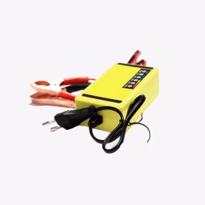 CHARGEUR INTELLIGENT + PULSE REPAIR